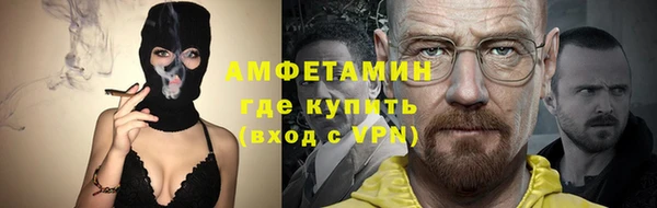сатива Анжеро-Судженск