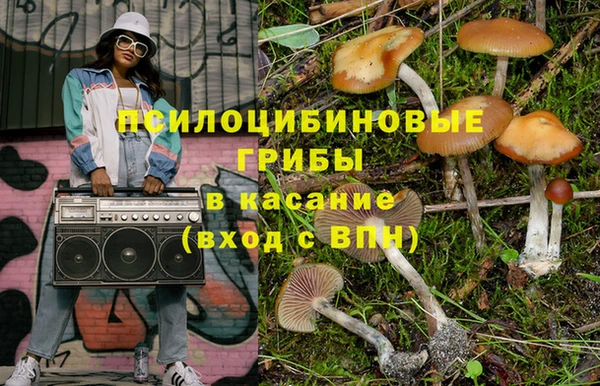 мескалин Алексин