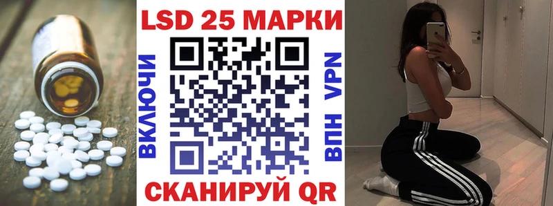 где найти   Бакал  LSD-25 экстази ecstasy 