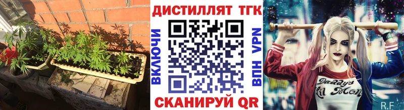 ТГК THC oil закладки Бакал
