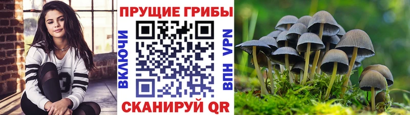 наркошоп  Бакал  Псилоцибиновые грибы прущие грибы 